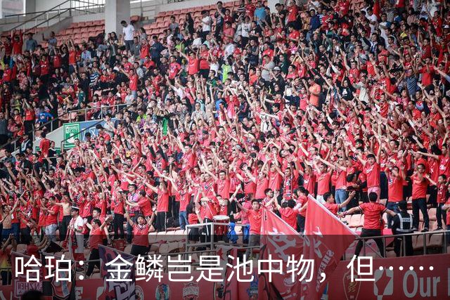 哈珀：金鳞岂是池中物，但……